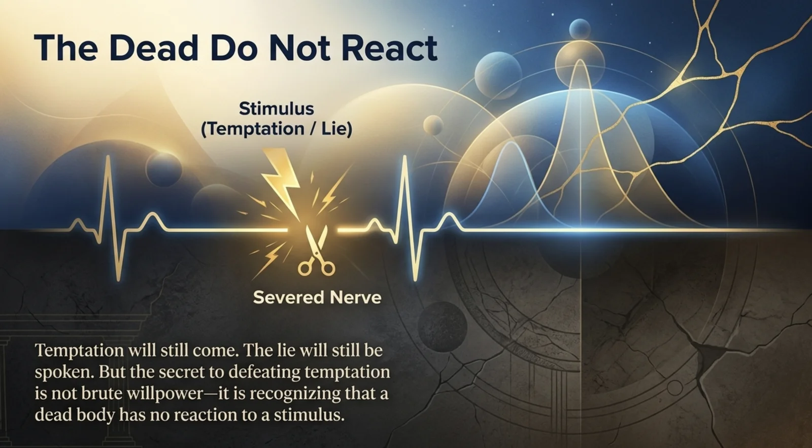 The Dead Do Not React